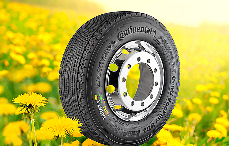 CONTINENTAL начинает строительство центра по созданию каучука из одуванчиков 