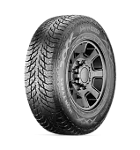 Autograph Ice LT4